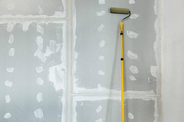 Best Drywall Texturing  in Thorntown, IN